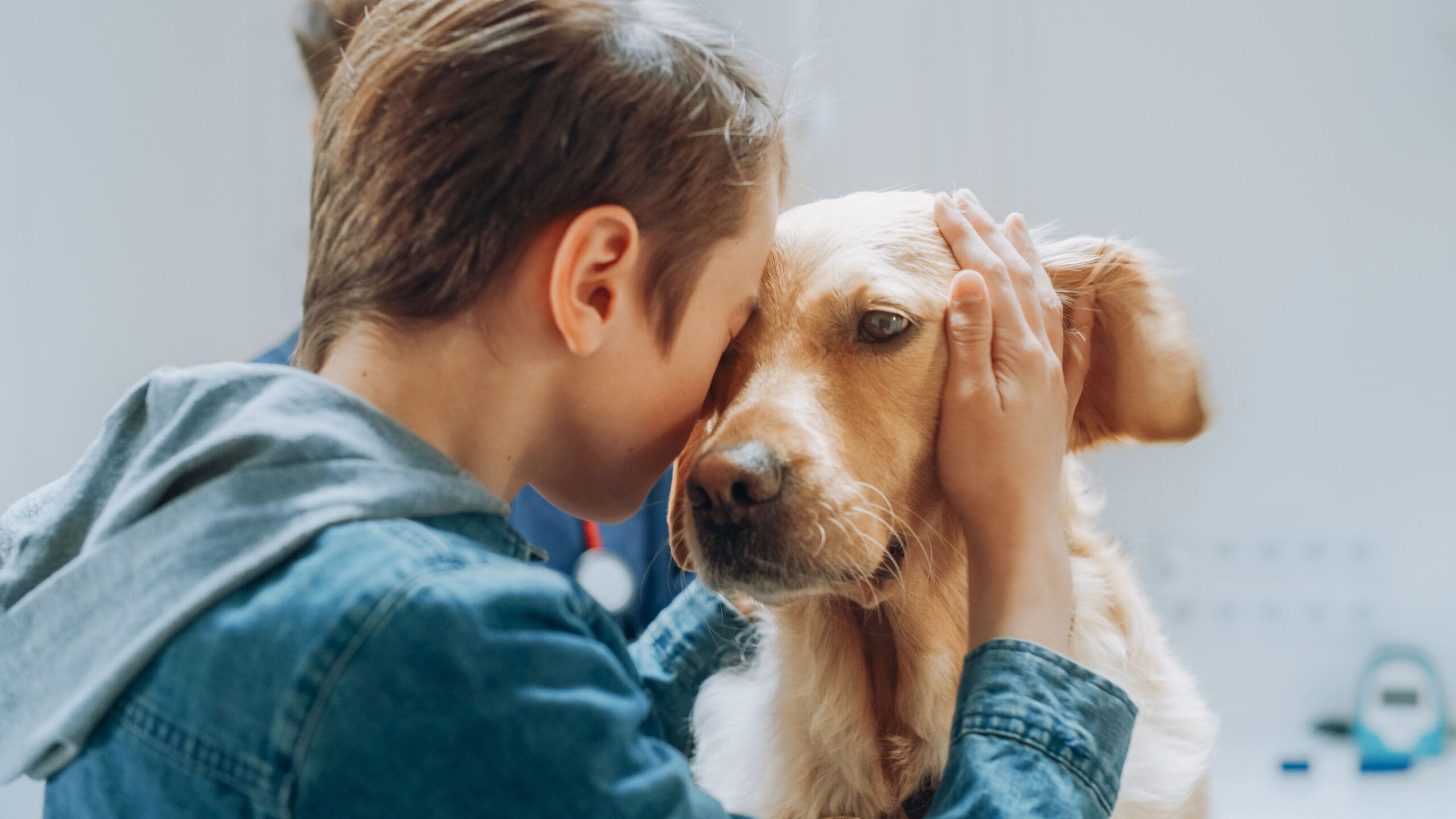 Service Dog for Autism: A Comprehensive Guide - Emotional Support Animal