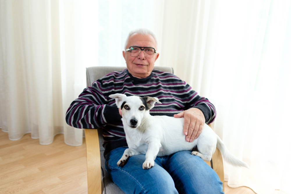 senior man sitting with companion dog on lap