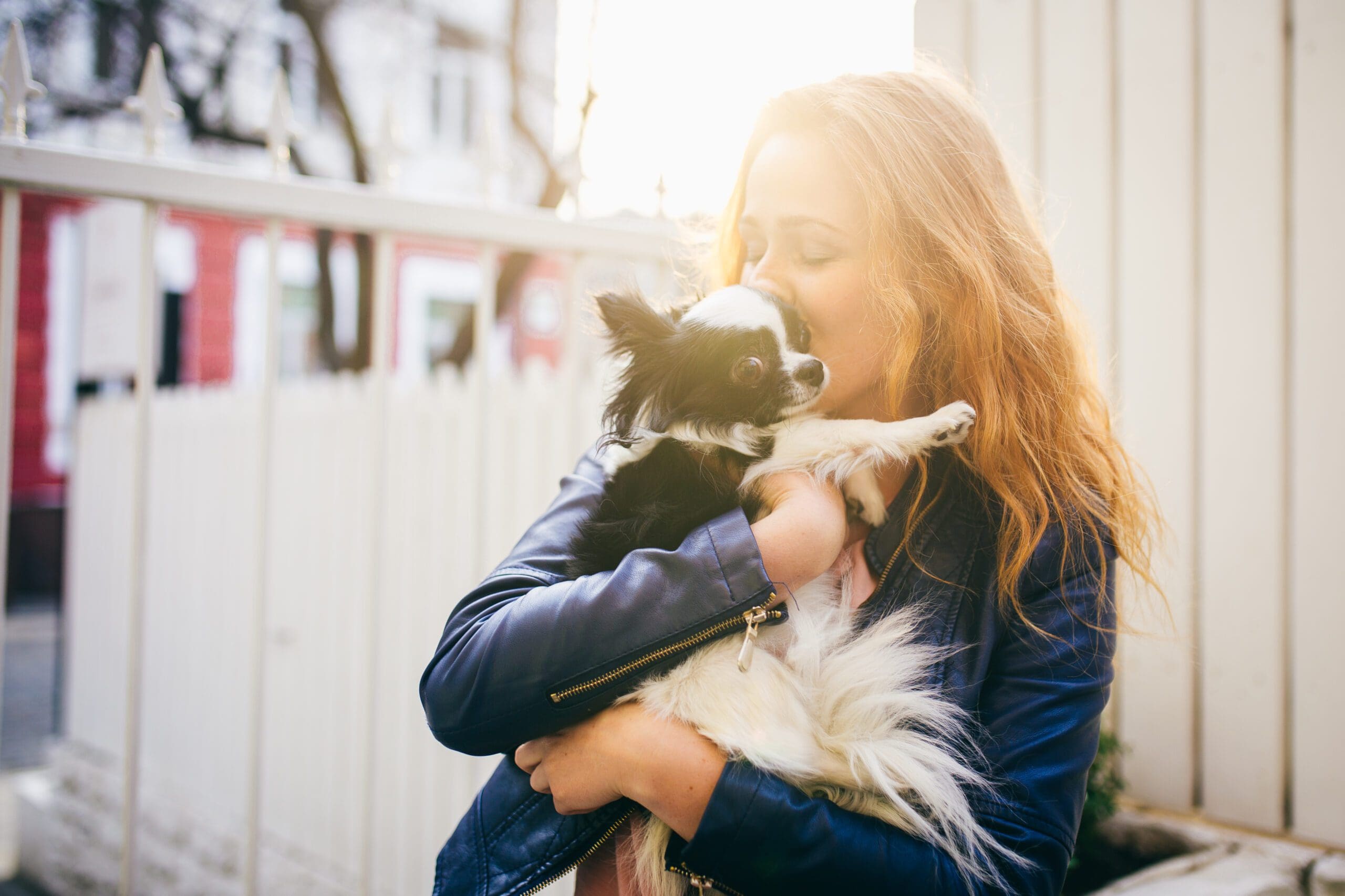 emotional-support-animal-laws-by-state