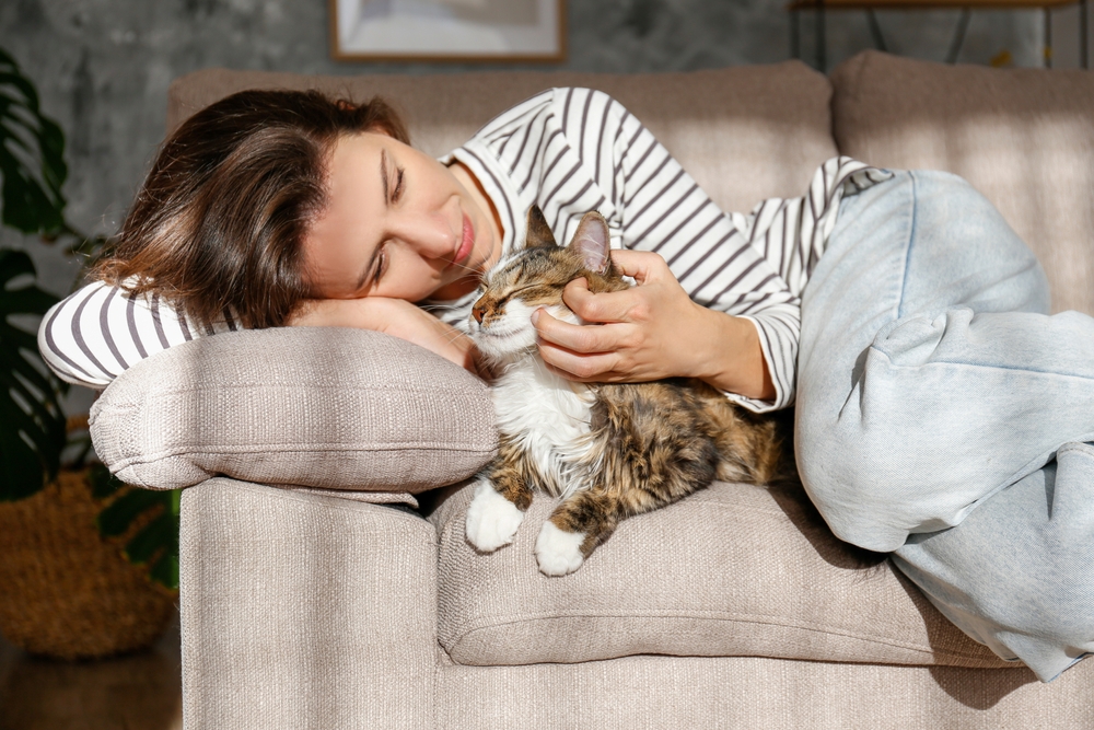 Can Cats Be Service Animals? Our Experts Answer - Emotional Support Animal
